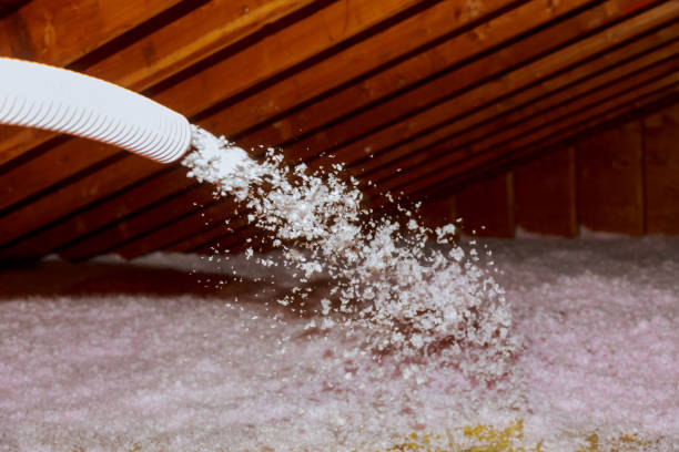Professional Insulation Contractor in Lumberton, TX