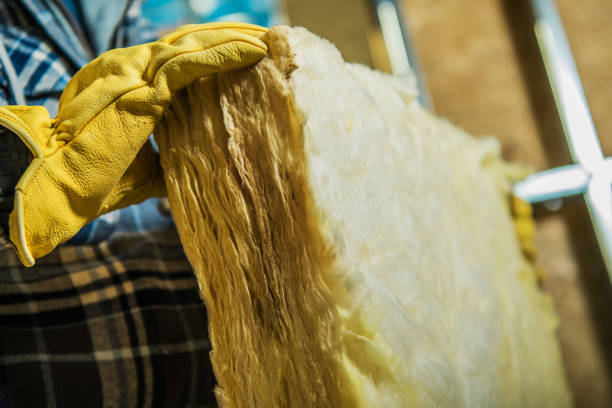 Best Insulation Maintenance and Repair in Lumberton, TX