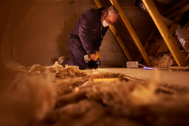 Best Eco-Friendly Insulation in Lumberton, TX